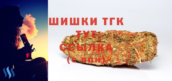 гидра Арсеньев