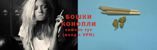 гидра Арсеньев